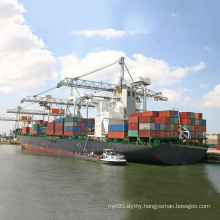 Sea Freight Service Cheapest Shipping Rates from China to USA